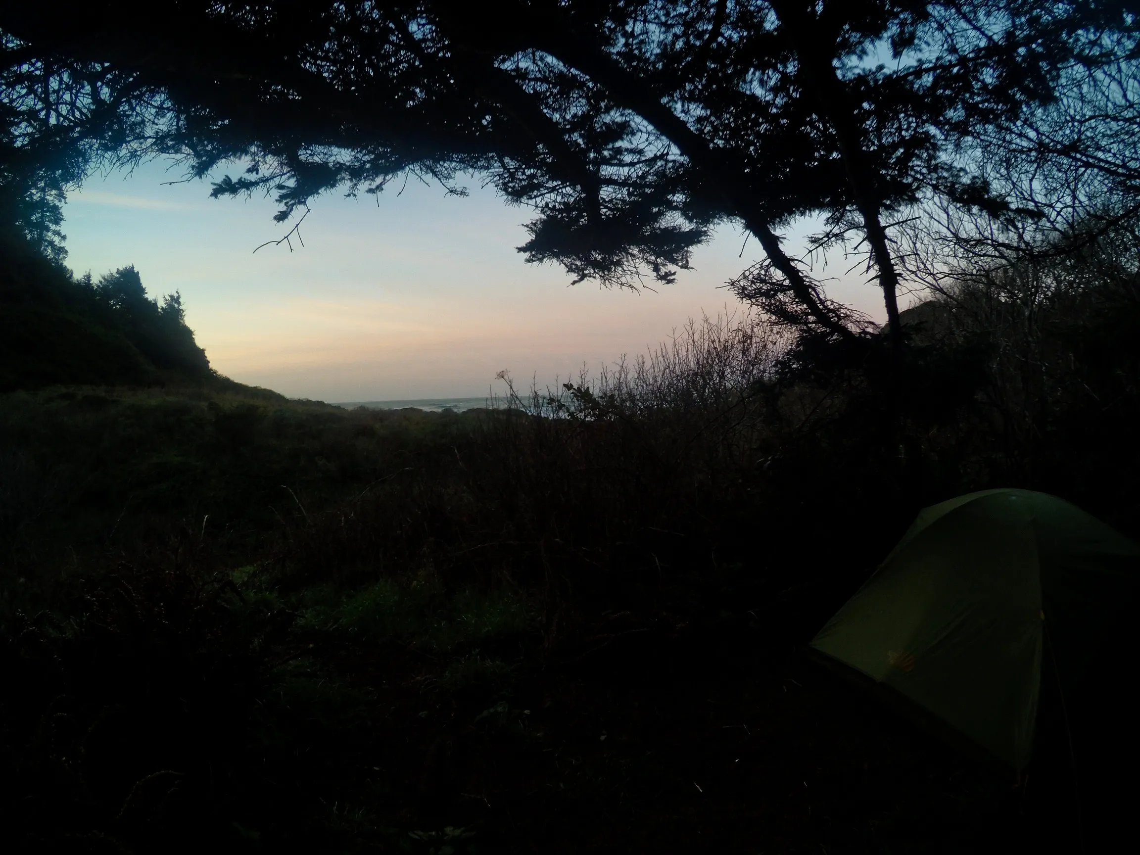 Camp at Nickel Creek