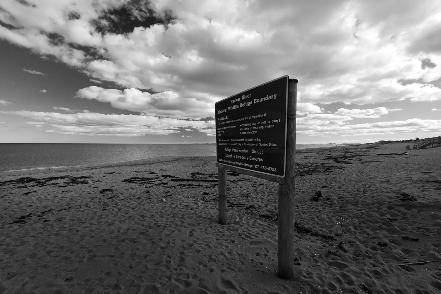 Explore the Parker River National Wildlife Refuge