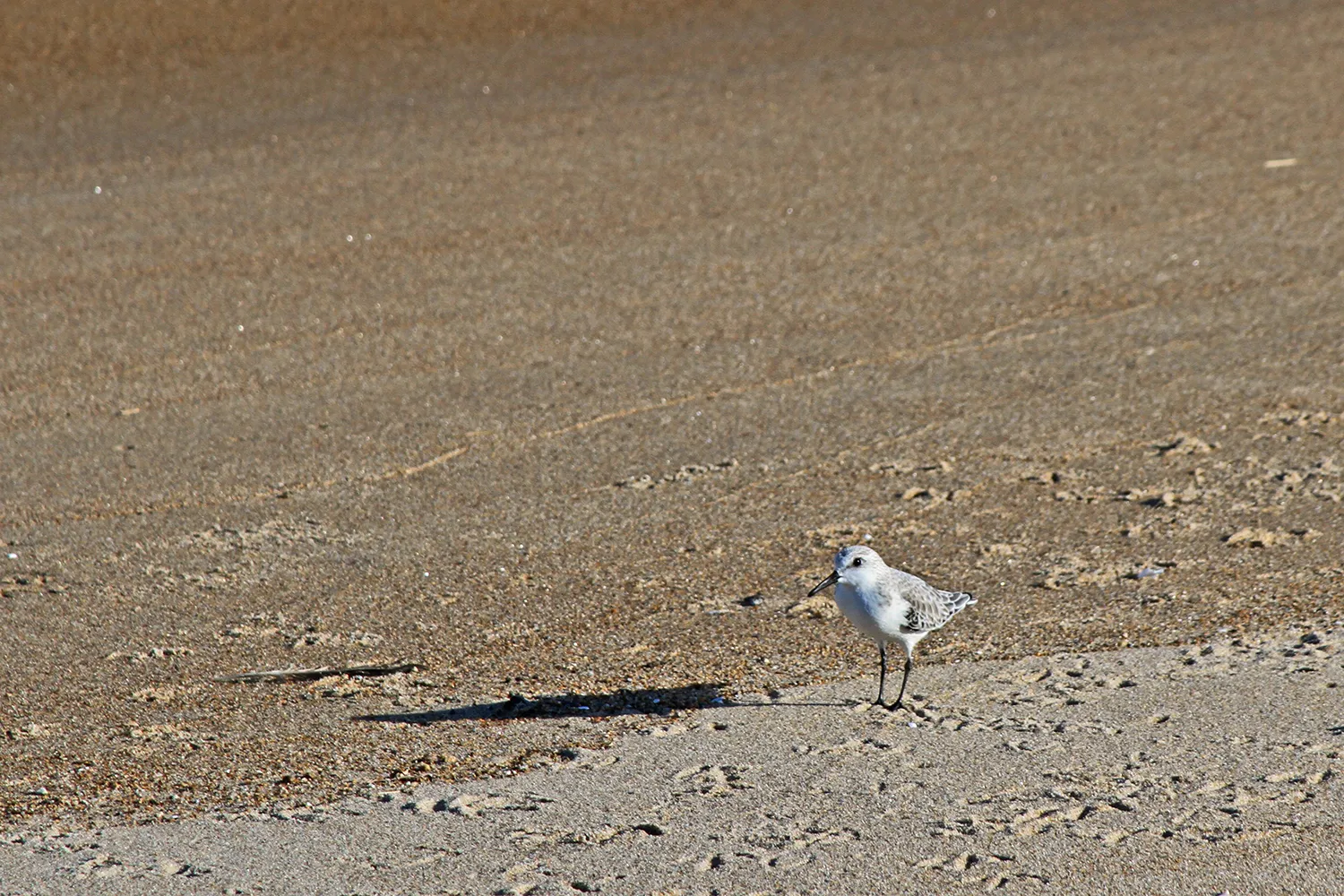 Explore the Parker River National Wildlife Refuge