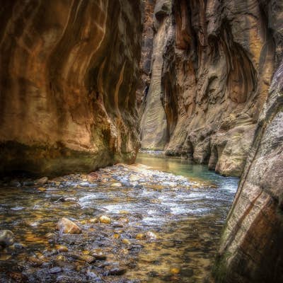 Winter Hiking the Zion Narrows