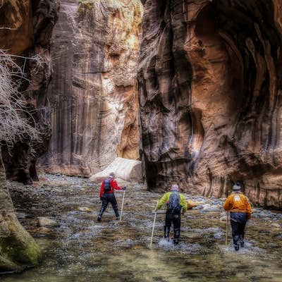 Winter Hiking the Zion Narrows