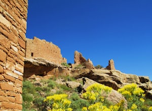 Hike the Ruins of Hovenweep National Monument