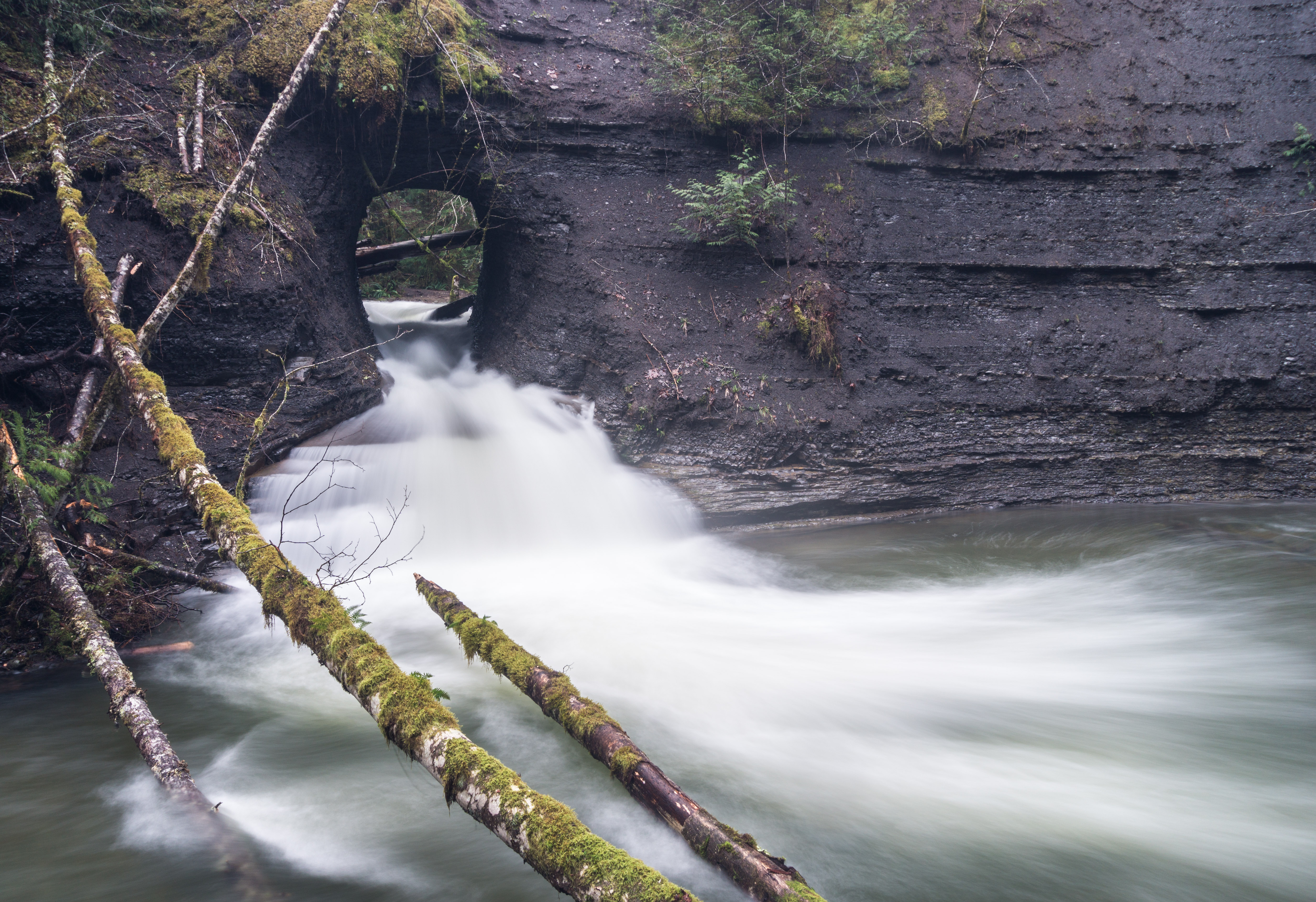 Hike to Hole in the Wall, Port Alberni, British Columbia