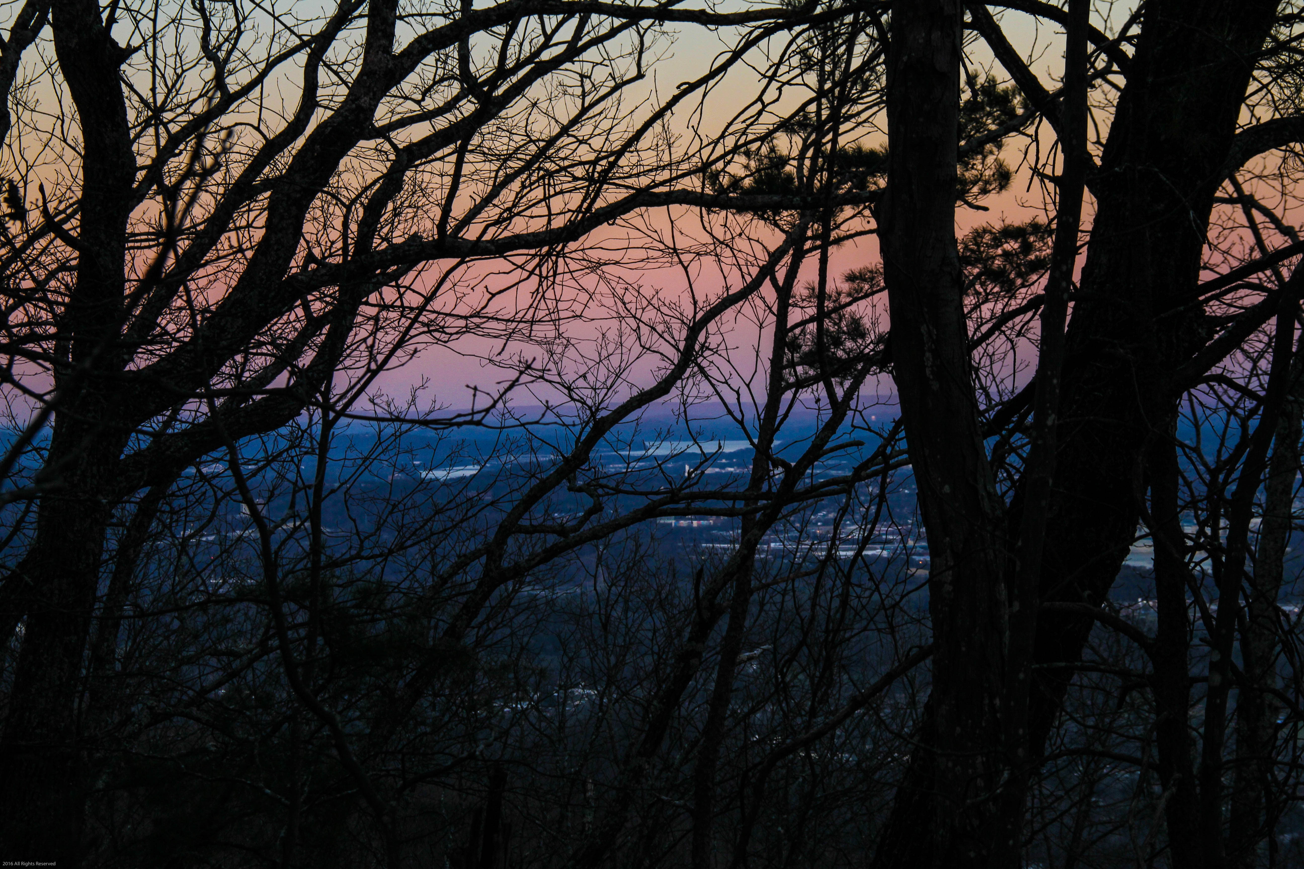 Mountain Bike Raccoon Mountain 