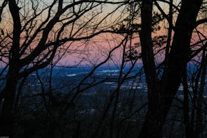 Mountain Bike Raccoon Mountain 