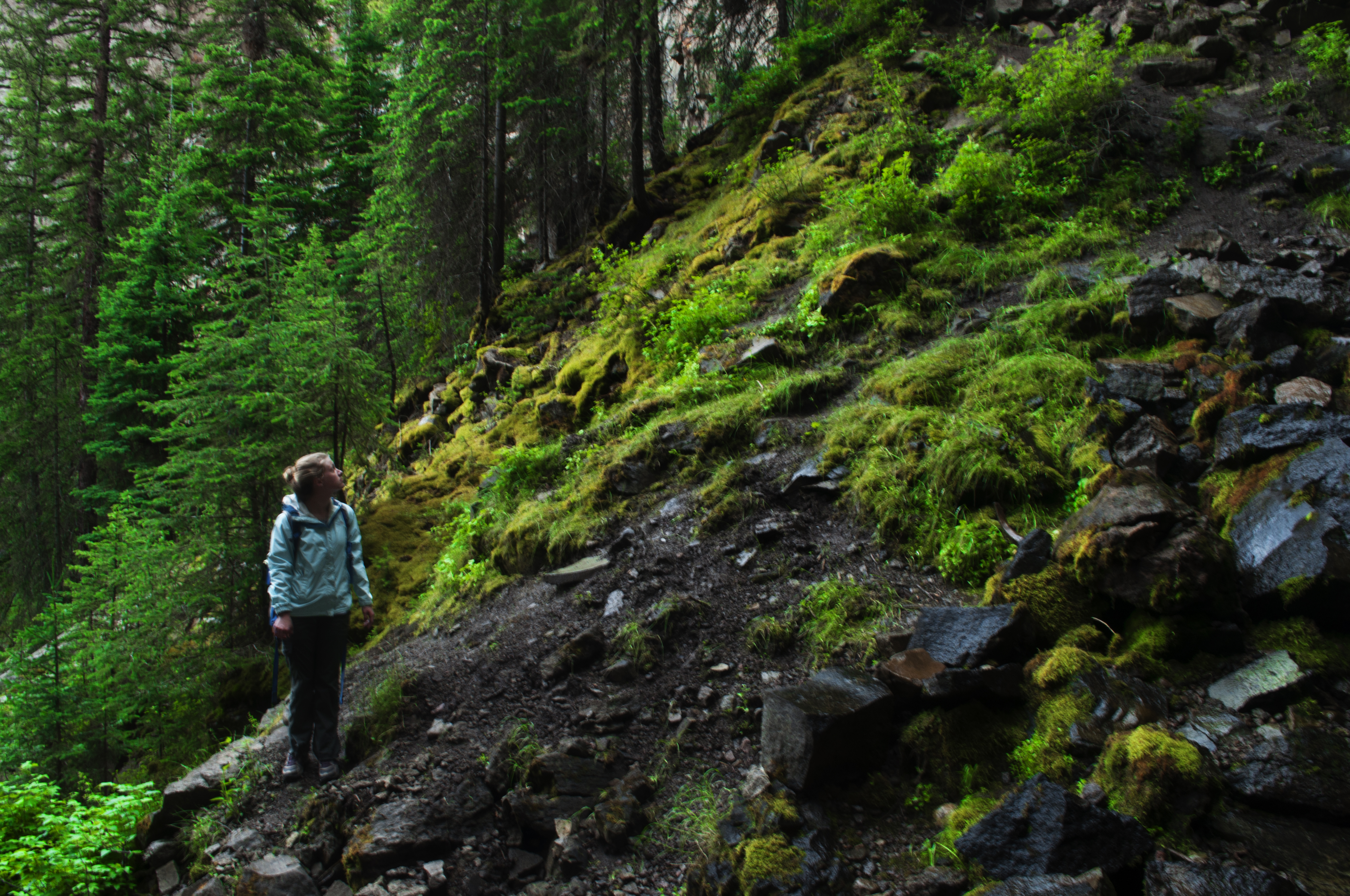 Lost Creek Falls