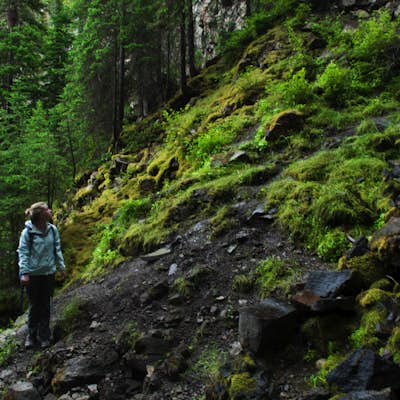 Hike to Lost Creek Falls, Yellowstone NP
