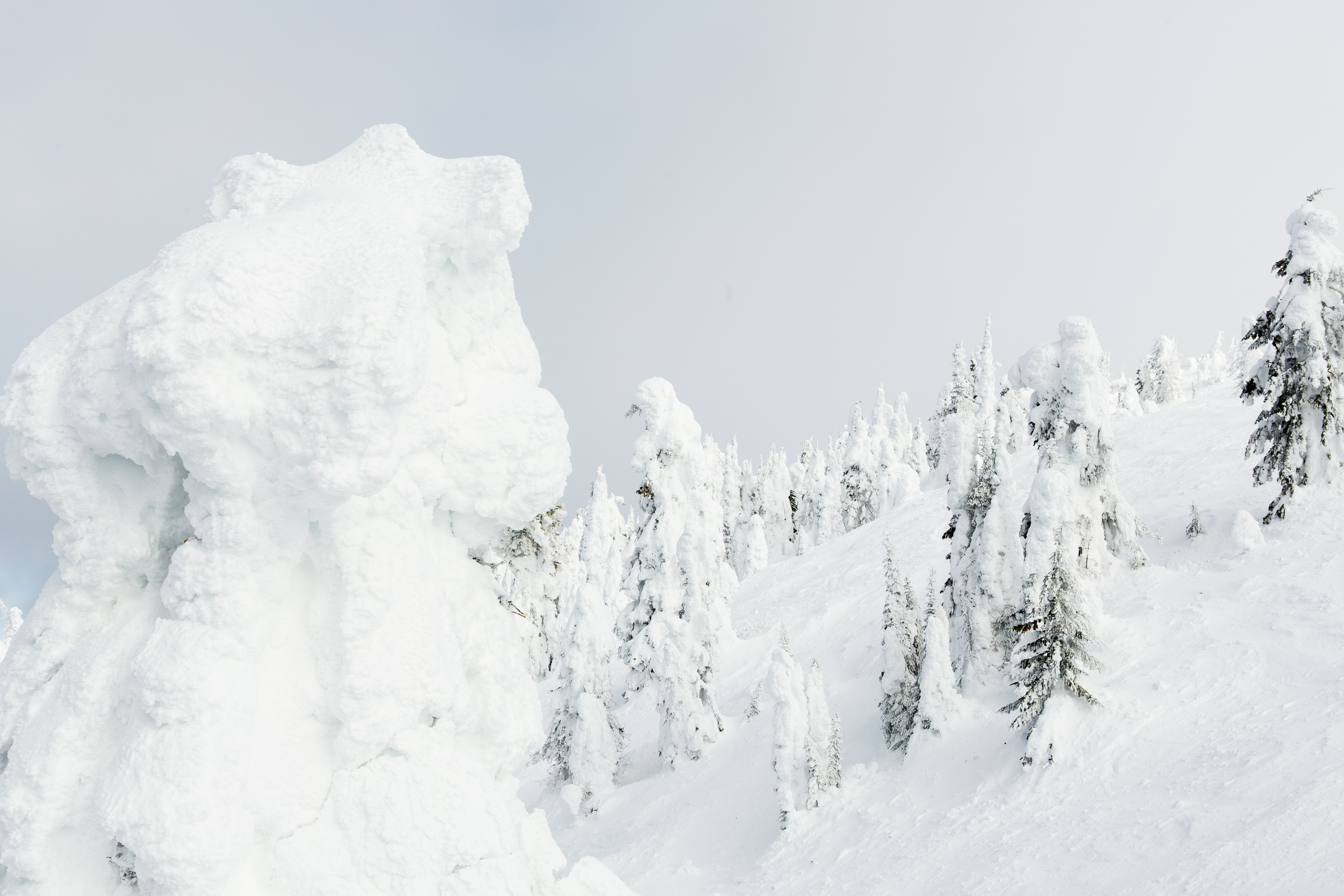 Ski or Snowboard Big White Ski Resort