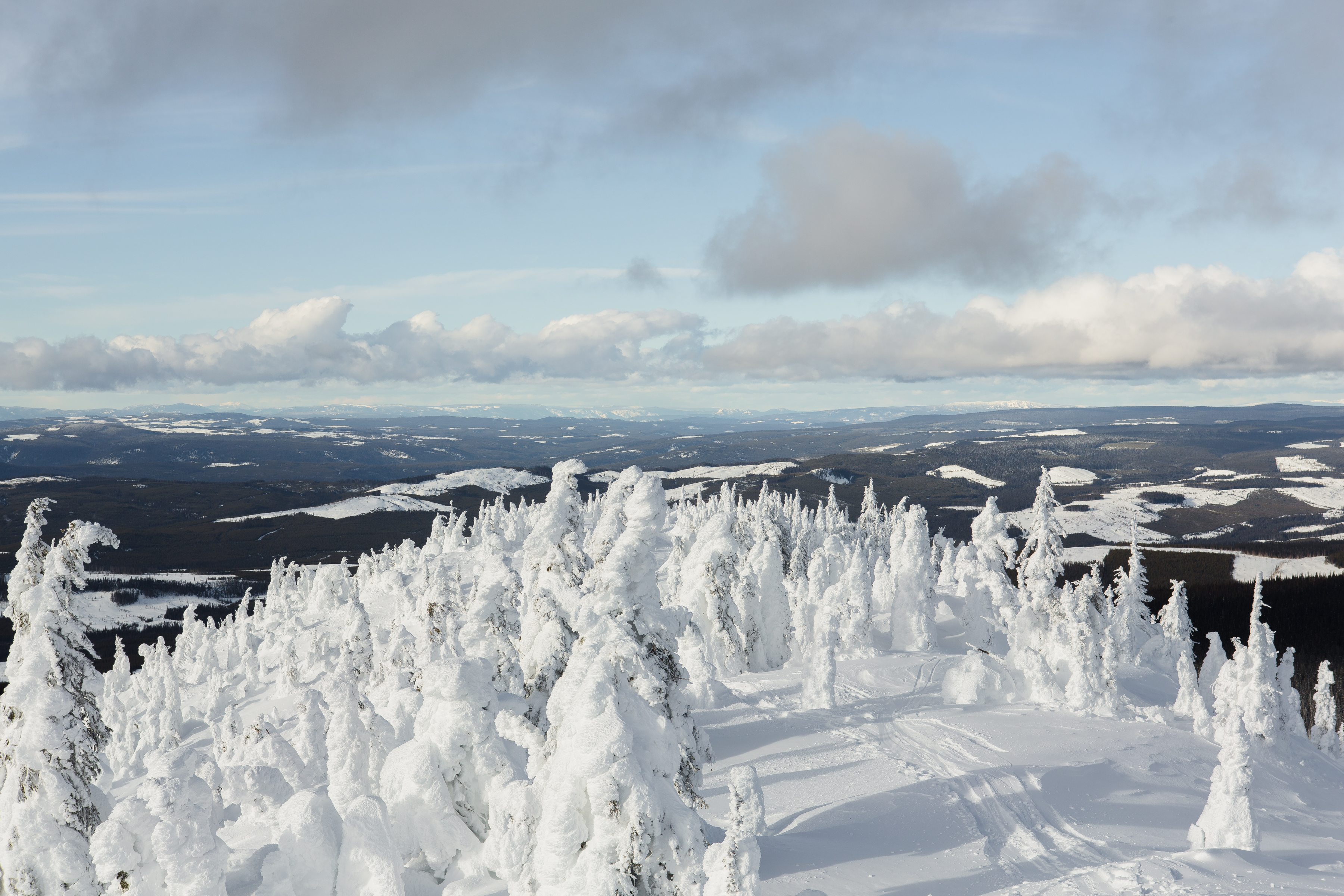 Ski or Snowboard Big White Ski Resort