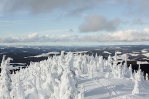 Ski or Snowboard Big White Ski Resort