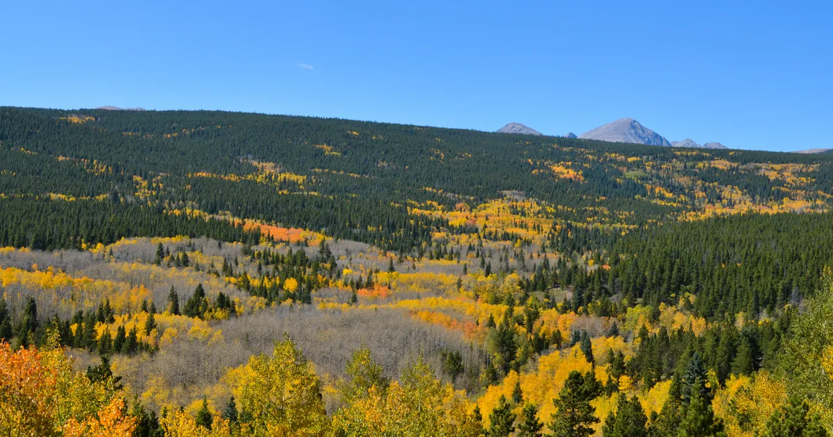 drive-the-peak-to-peak-highway-nederland-colorado