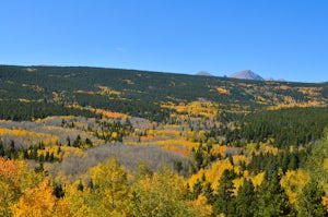 Drive the Peak to Peak Highway