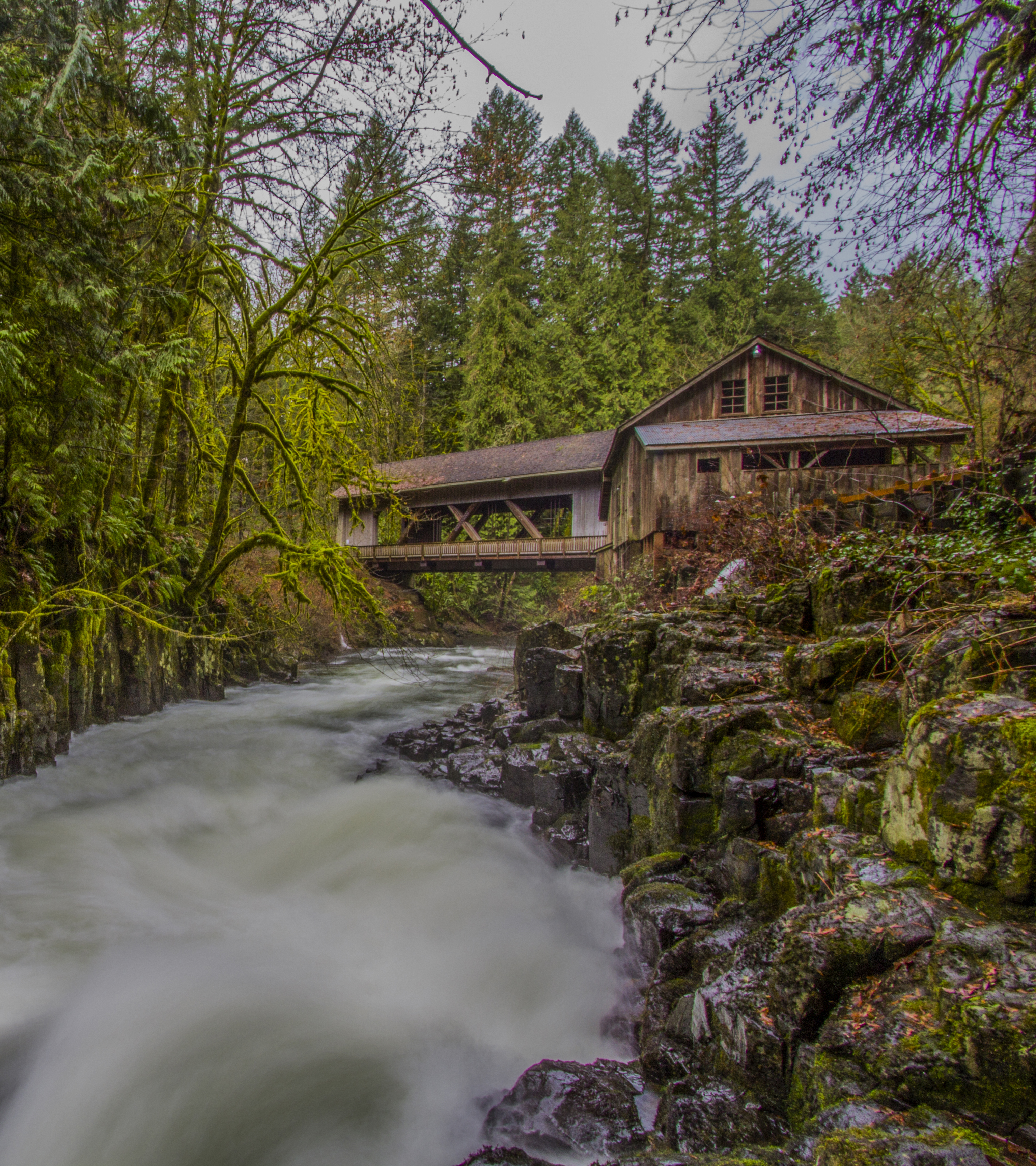 Explore the Cedar Grist Mill