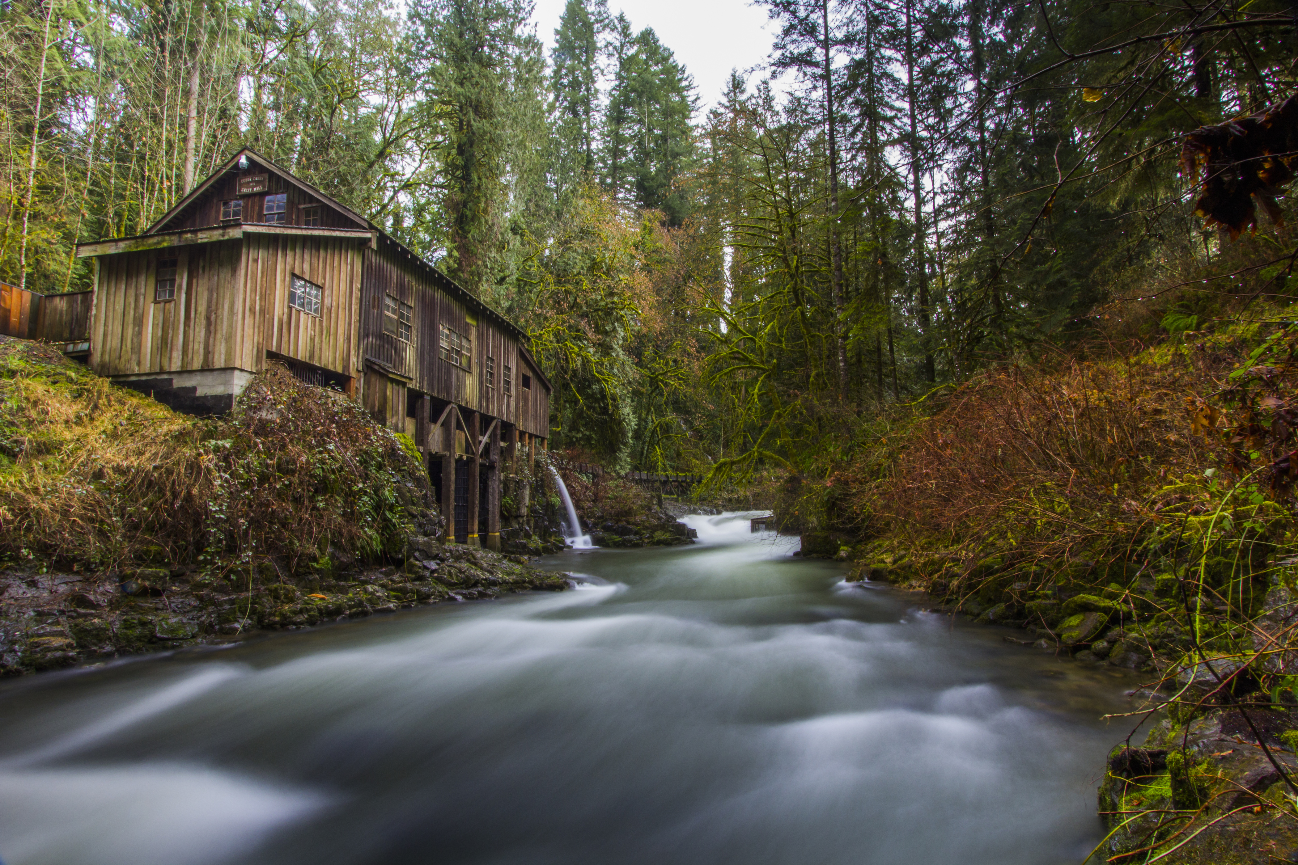Explore the Cedar Grist Mill