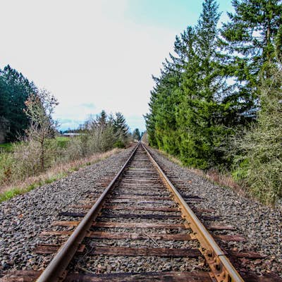 Explore the Dick Road Train Trestle