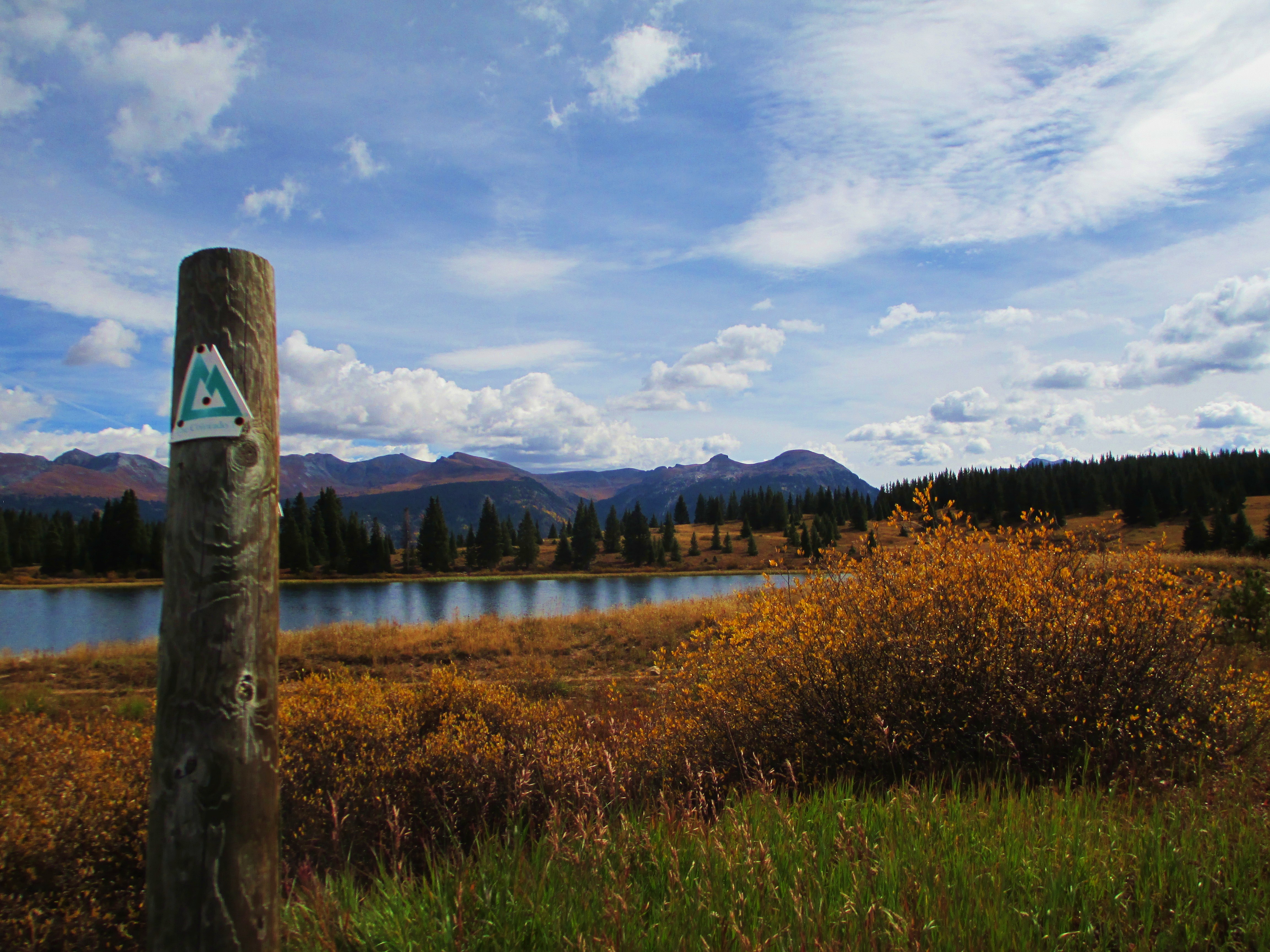 Hike the Colorado Trail: Little Molas Lake to Lime Creek 