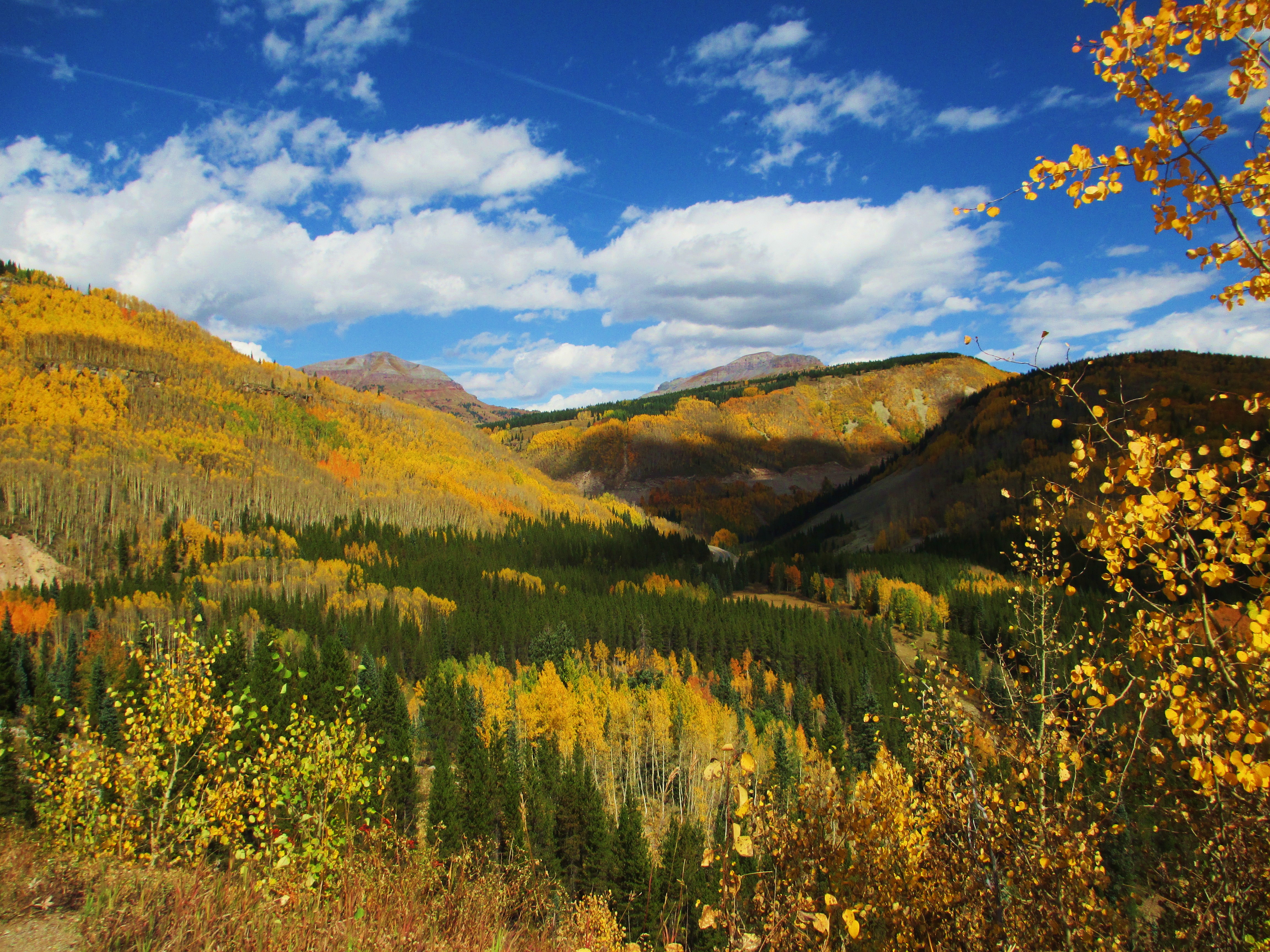 Hike the Colorado Trail: Little Molas Lake to Lime Creek 