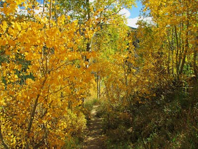 Hike the Colorado Trail: Little Molas Lake to Lime Creek 