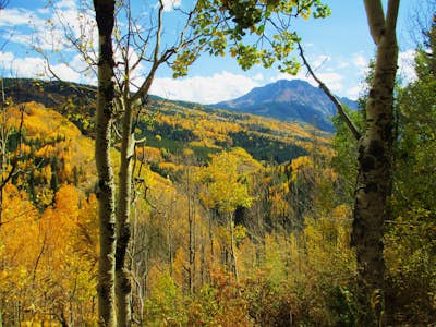 Hike the Colorado Trail: Little Molas Lake to Lime Creek 