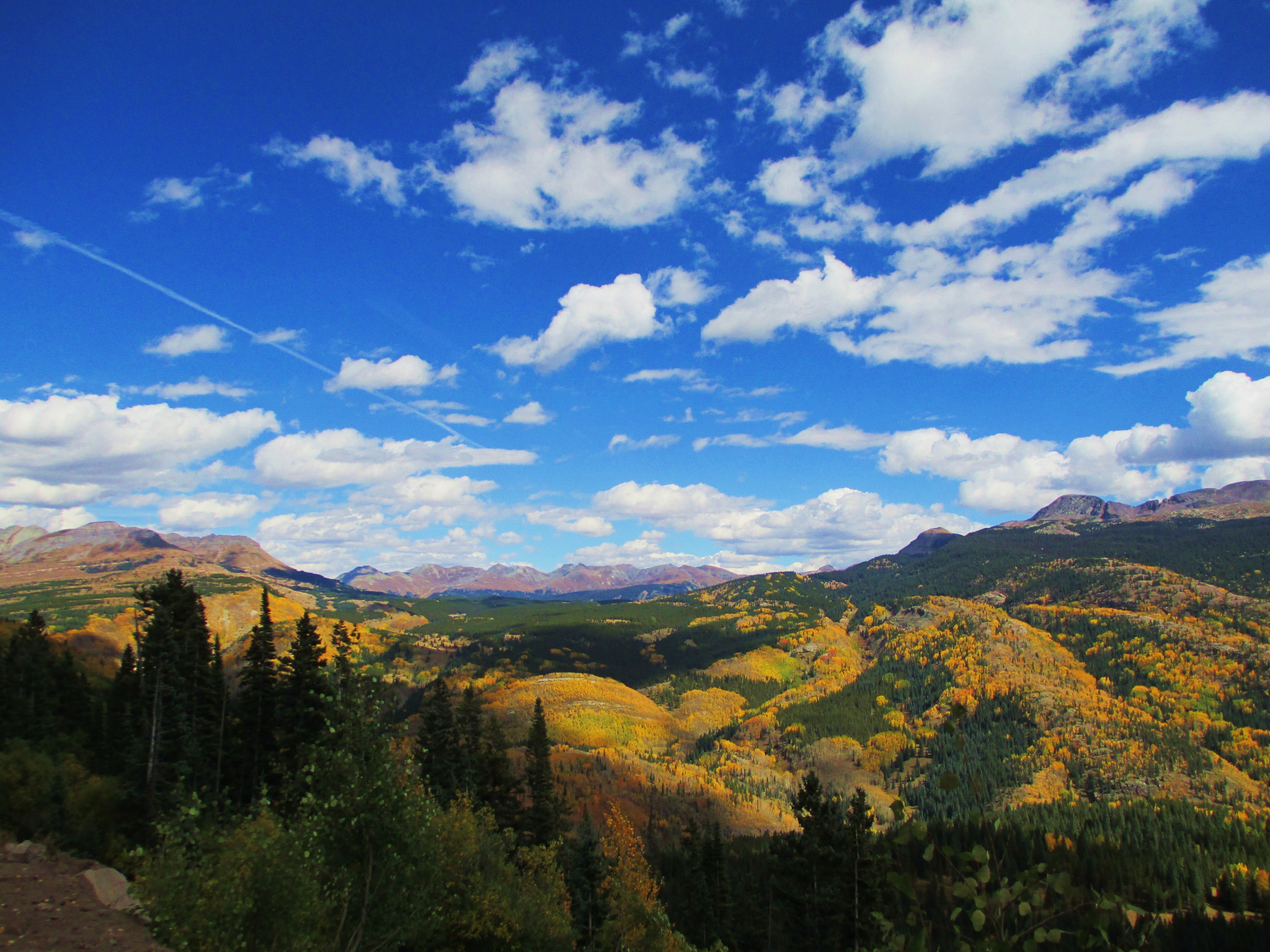 Hike the Colorado Trail: Little Molas Lake to Lime Creek 