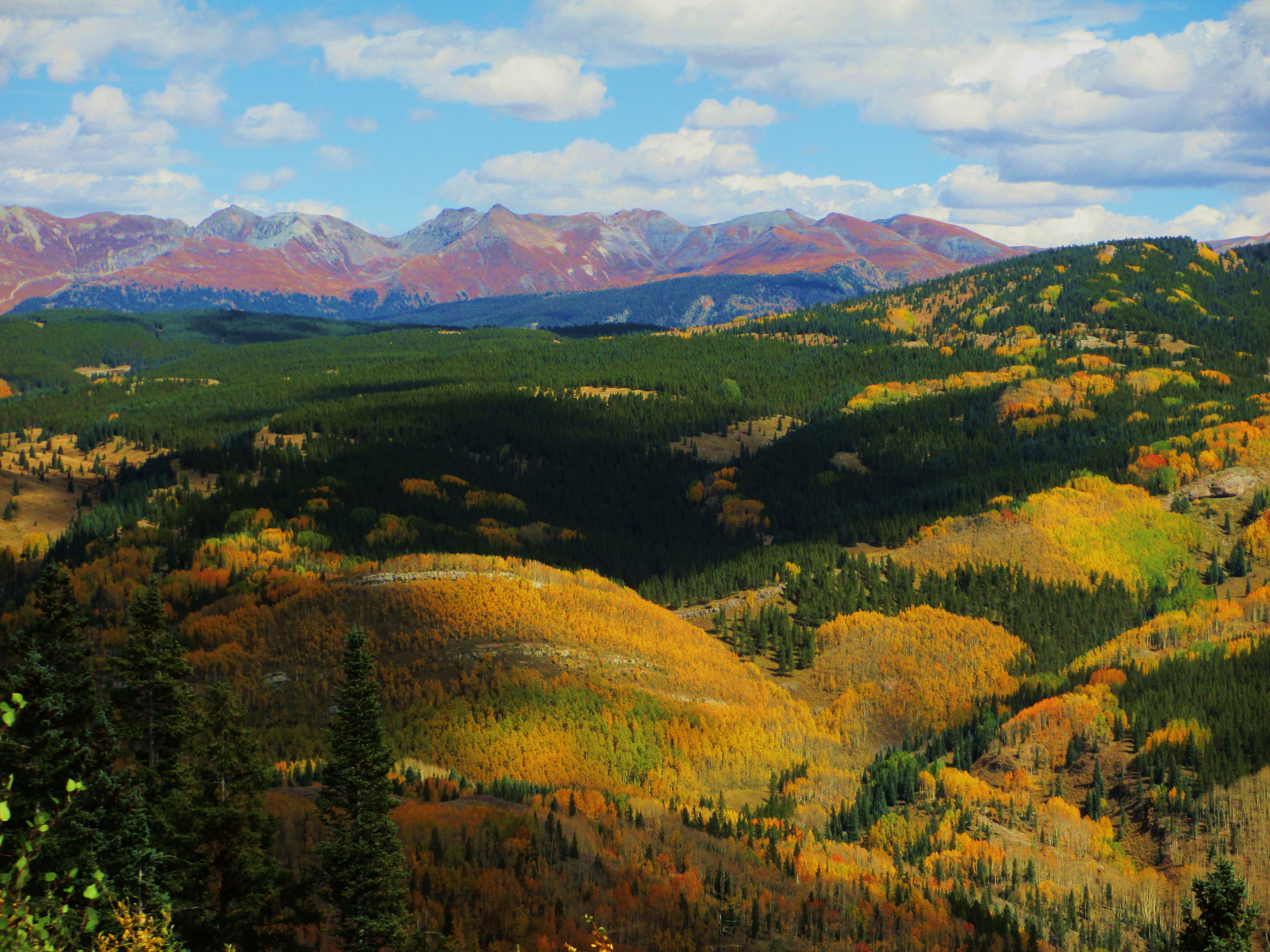 Hike the Colorado Trail: Little Molas Lake to Lime Creek 