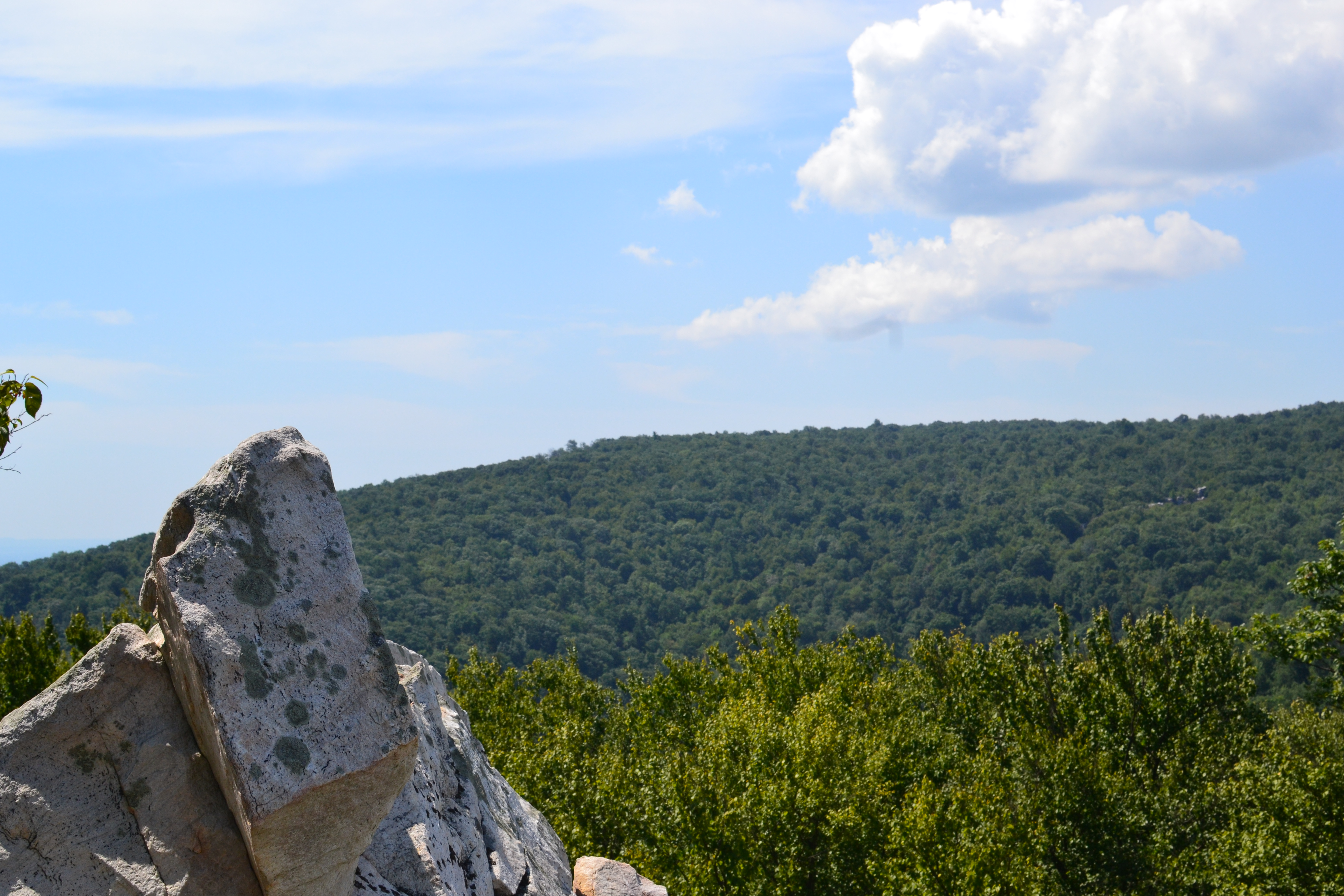 Cat Rock via Old Misery Trail