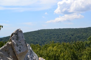 Hike the Old Misery Trail to Cat Rock