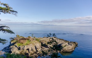 Hike through Boyle Point Provincial Park