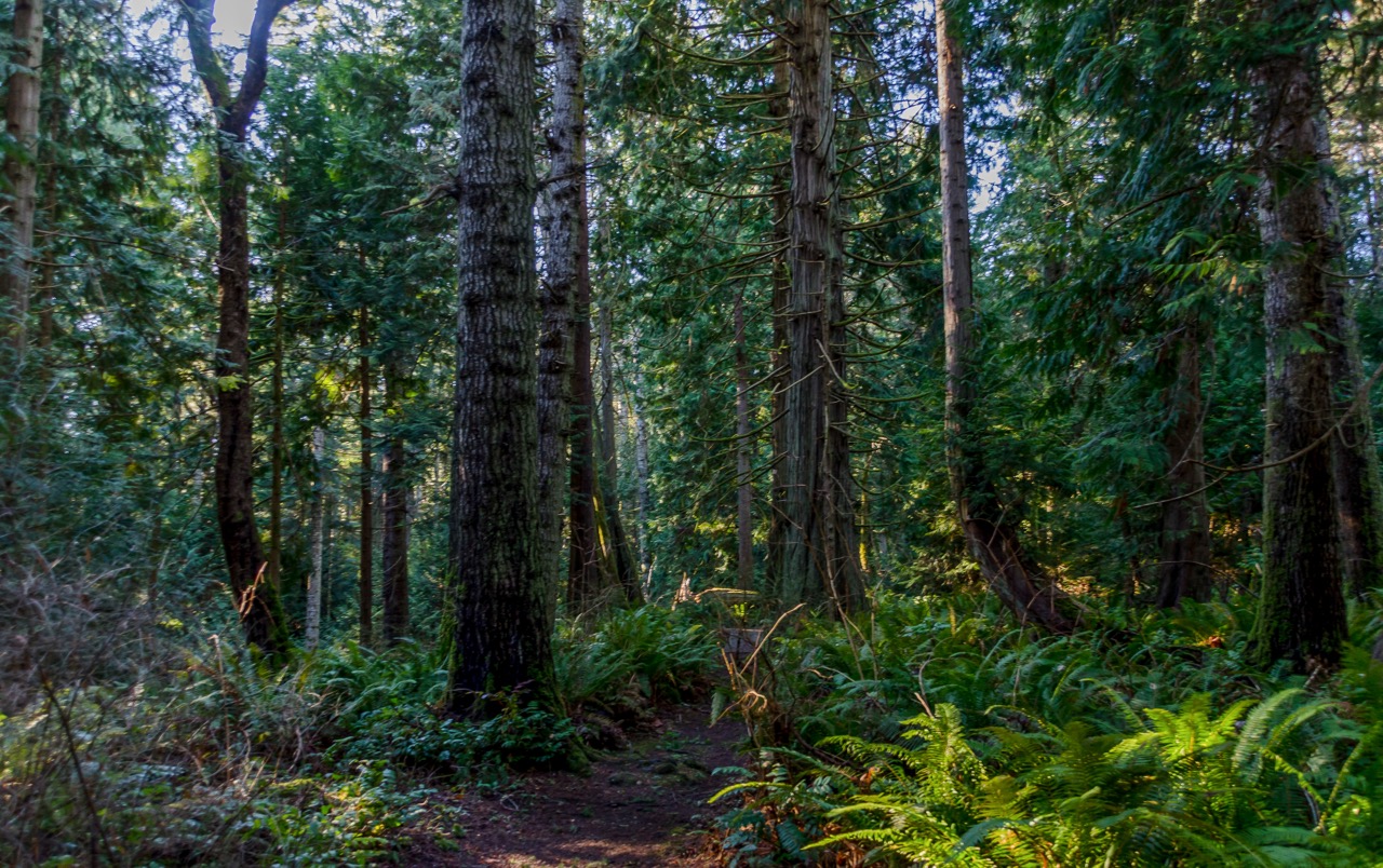 Explore Fillongley Provincial Park