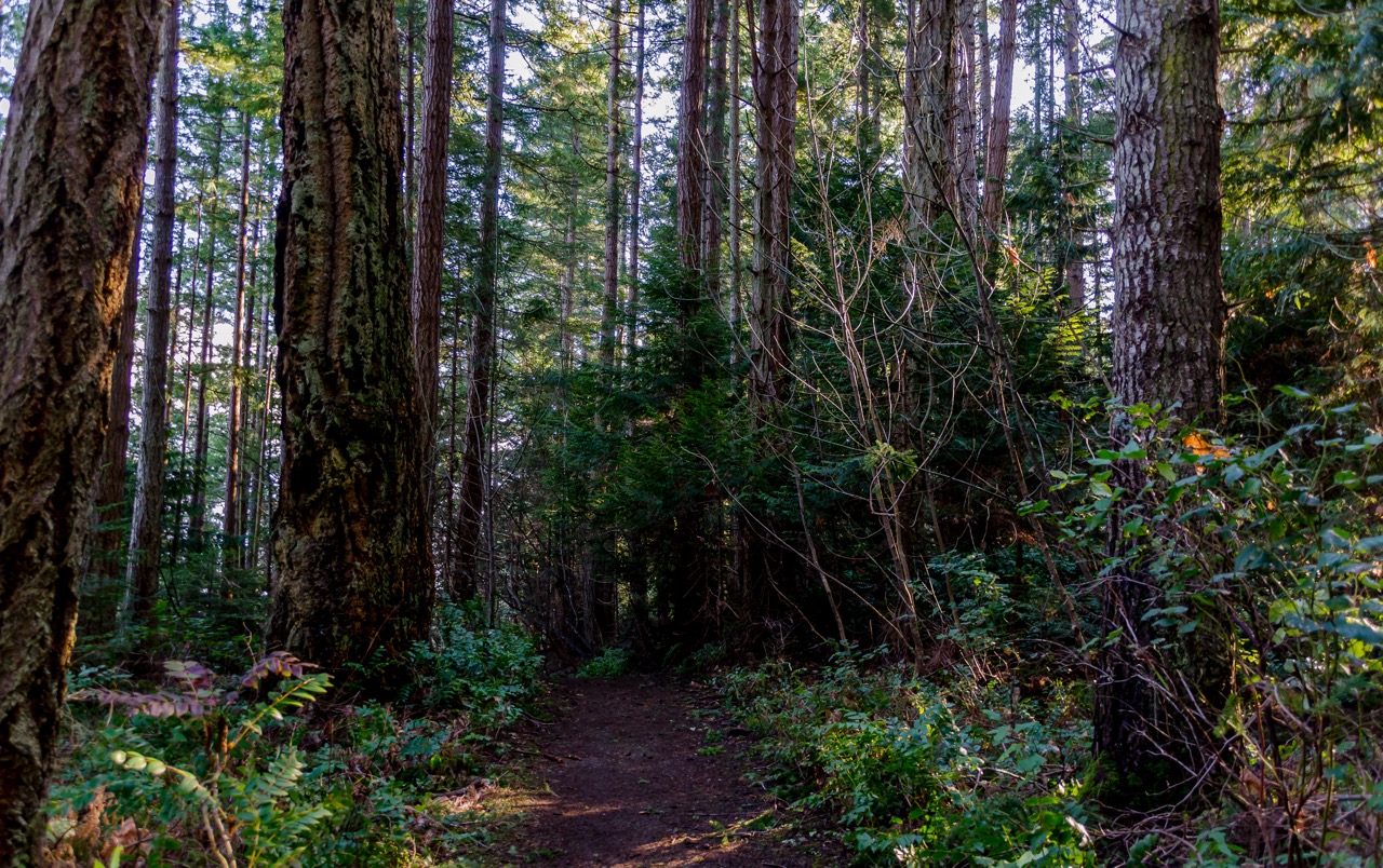 Explore Fillongley Provincial Park