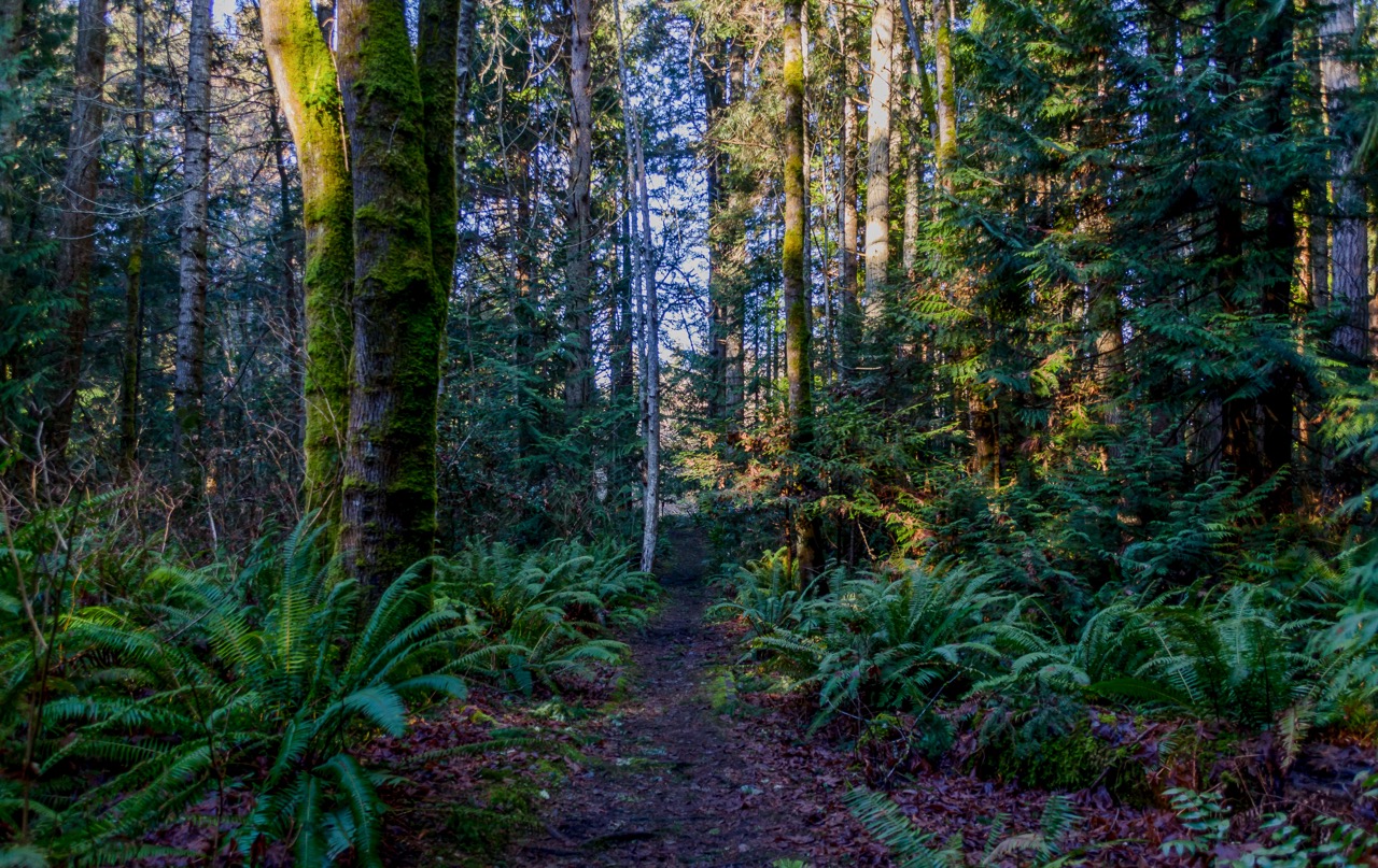 Explore Fillongley Provincial Park