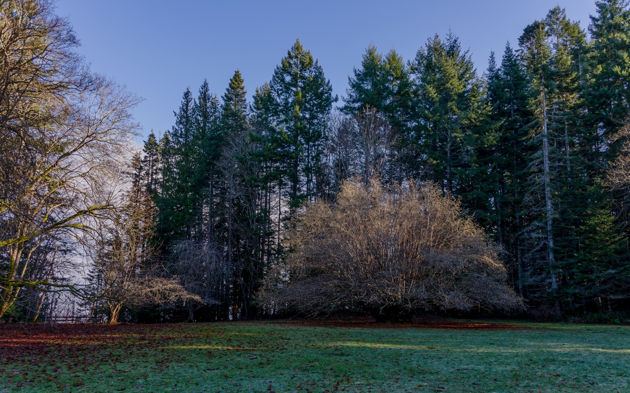 Explore Fillongley Provincial Park