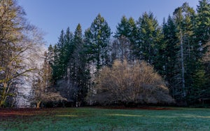 Explore Fillongley Provincial Park