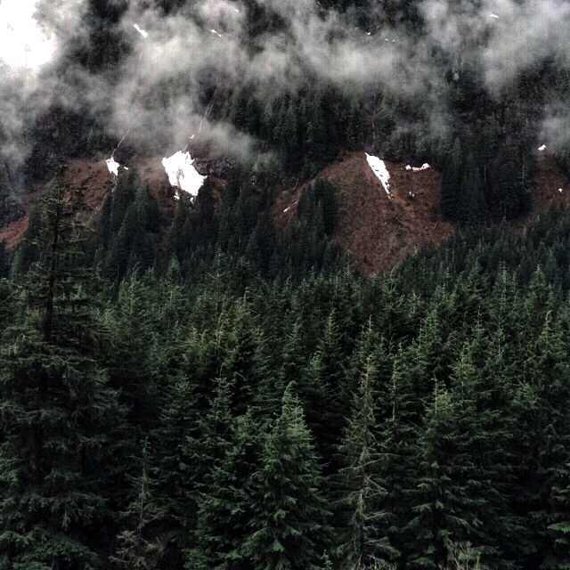 Hike to Alder Flats in Golden Ears Provincial Park