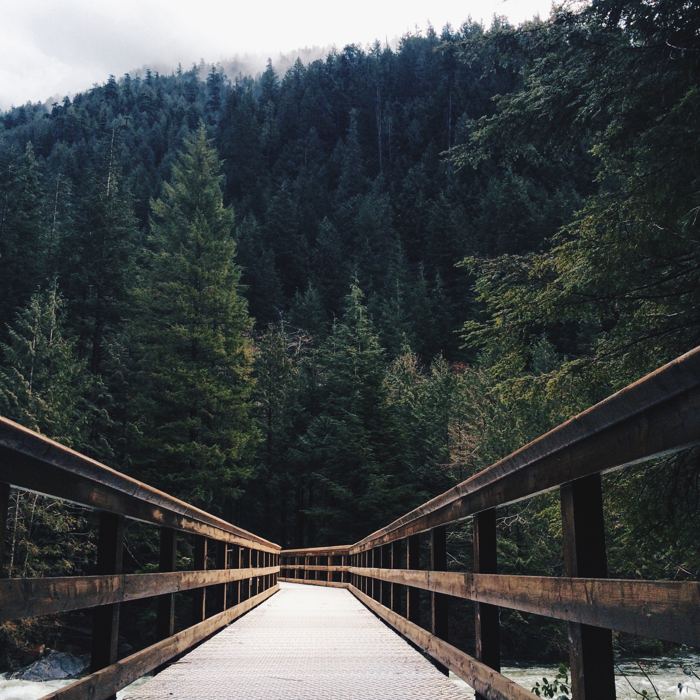 Hike to Alder Flats in Golden Ears Provincial Park