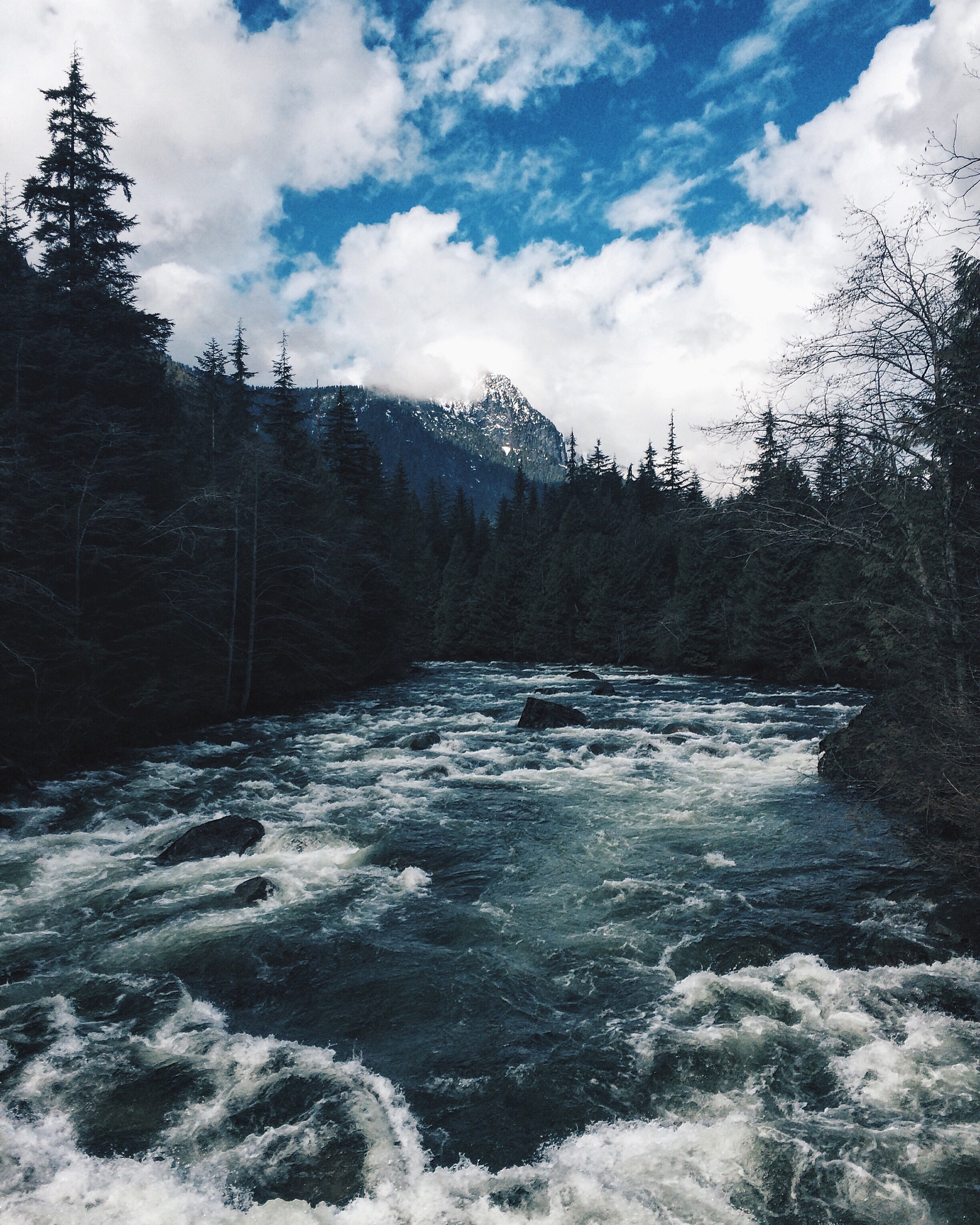 Hike to Alder Flats in Golden Ears Provincial Park