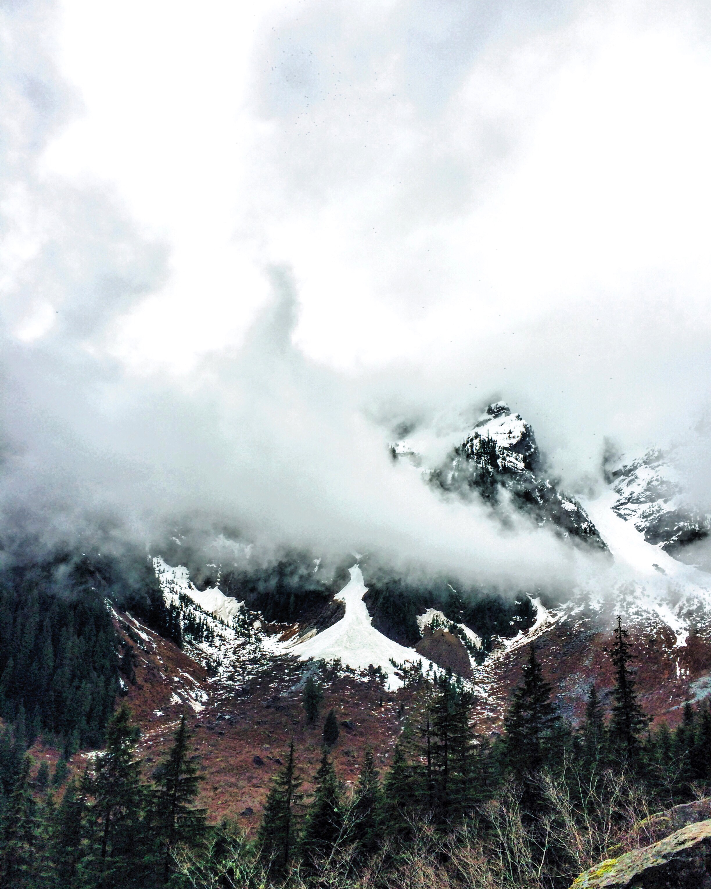 Hike to Alder Flats in Golden Ears Provincial Park