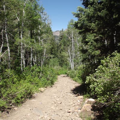Hike the Mineral Fork Trail