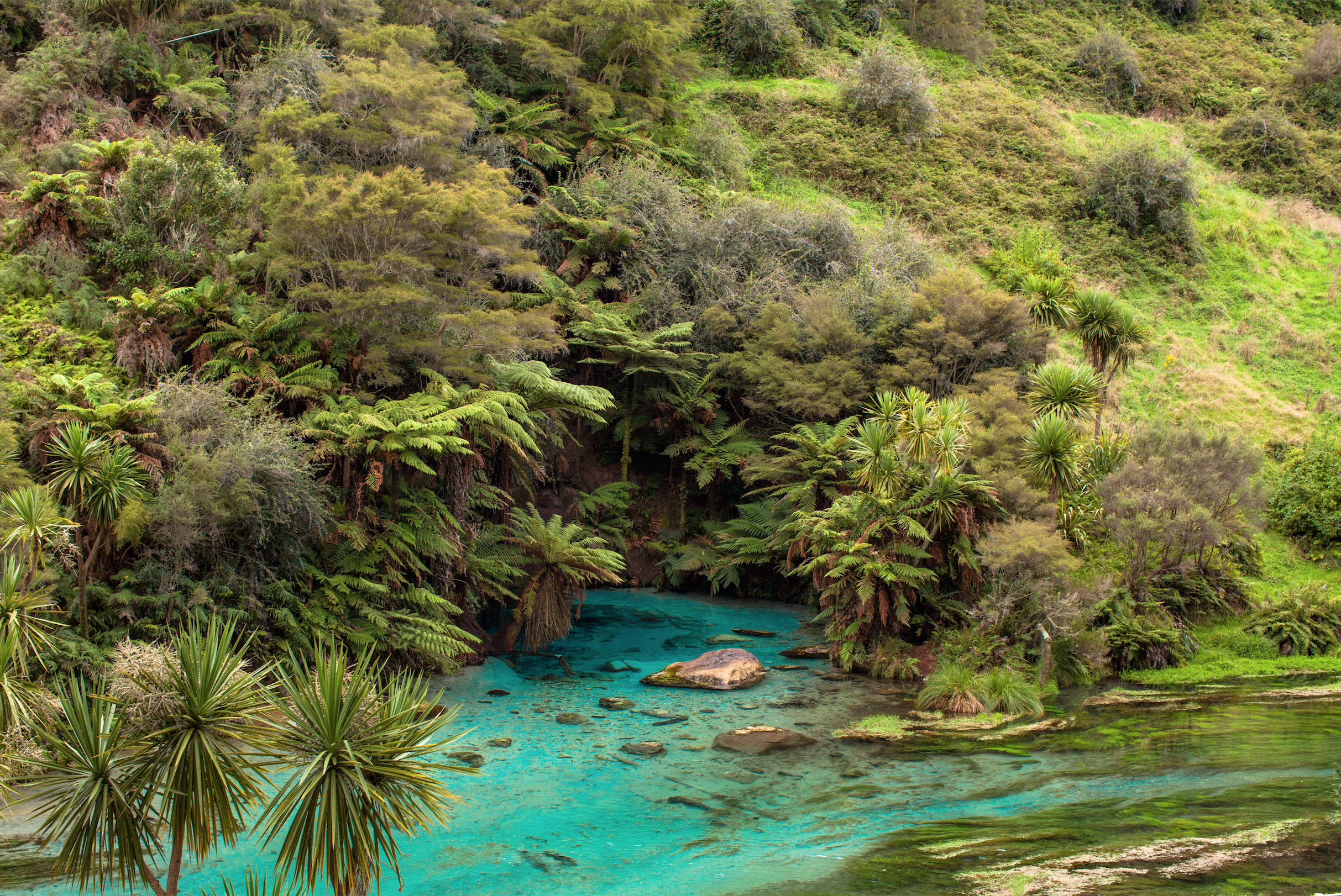 Hike to Te Waihou Springs