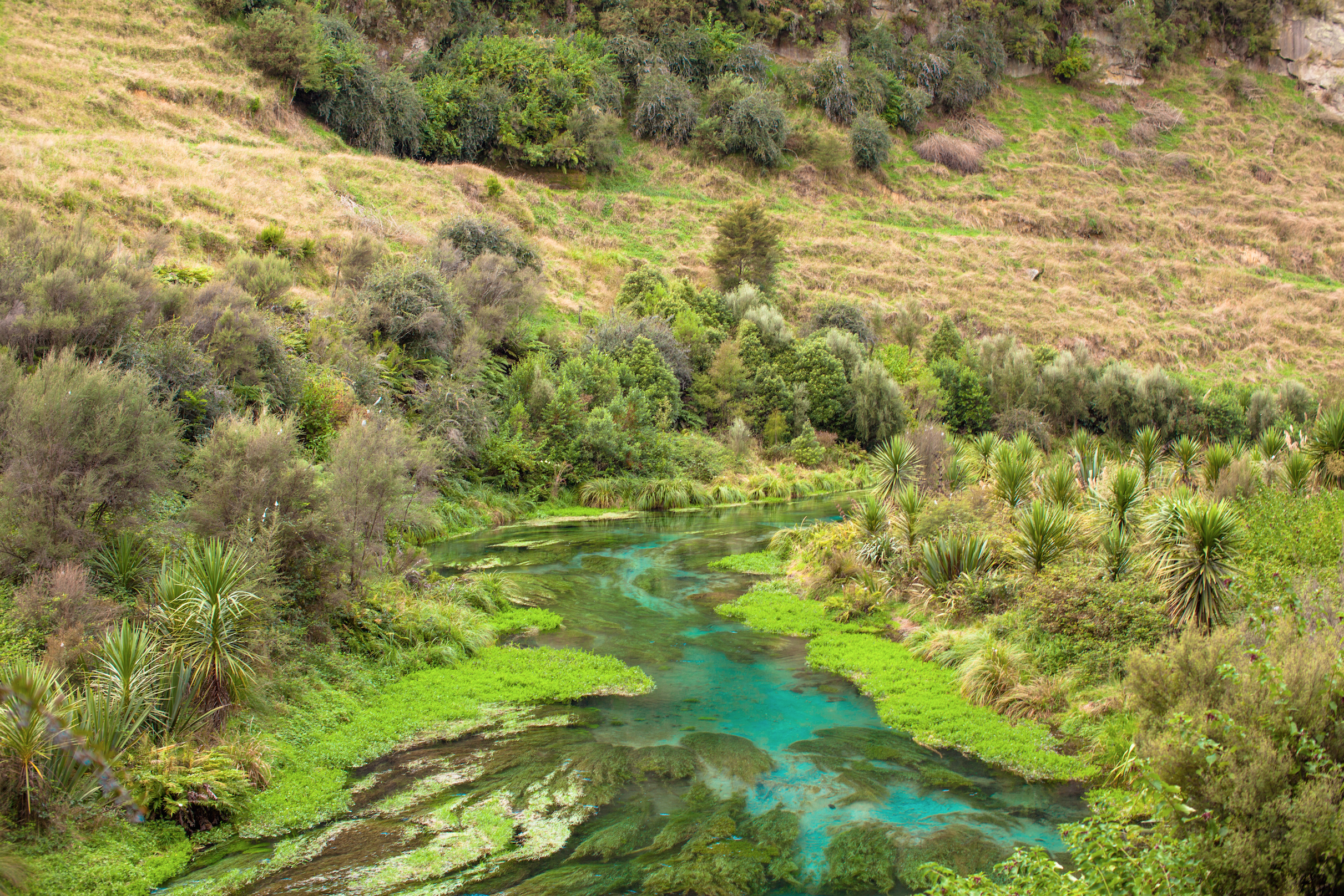 Hike to Te Waihou Springs