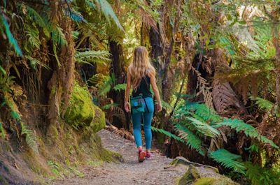 Hike to Te Waihou Springs