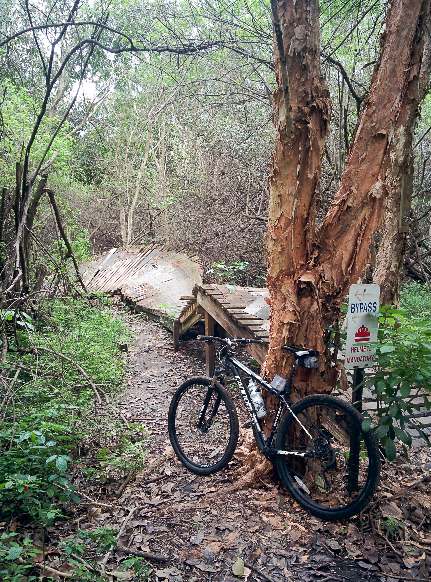 markham park mountain bike trails