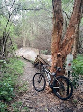 Mountain Bike at Markham Park