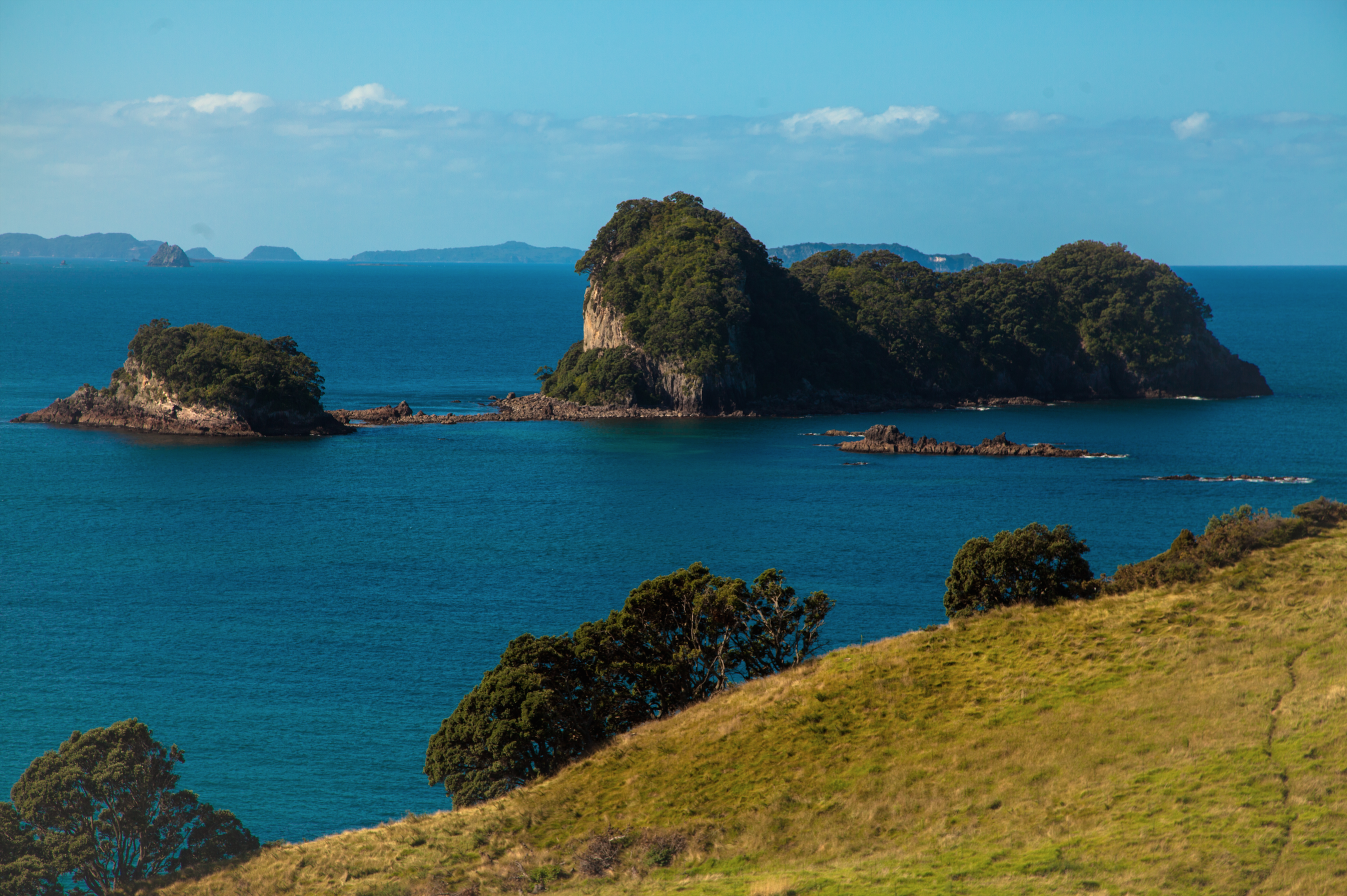 Cathedral Cove