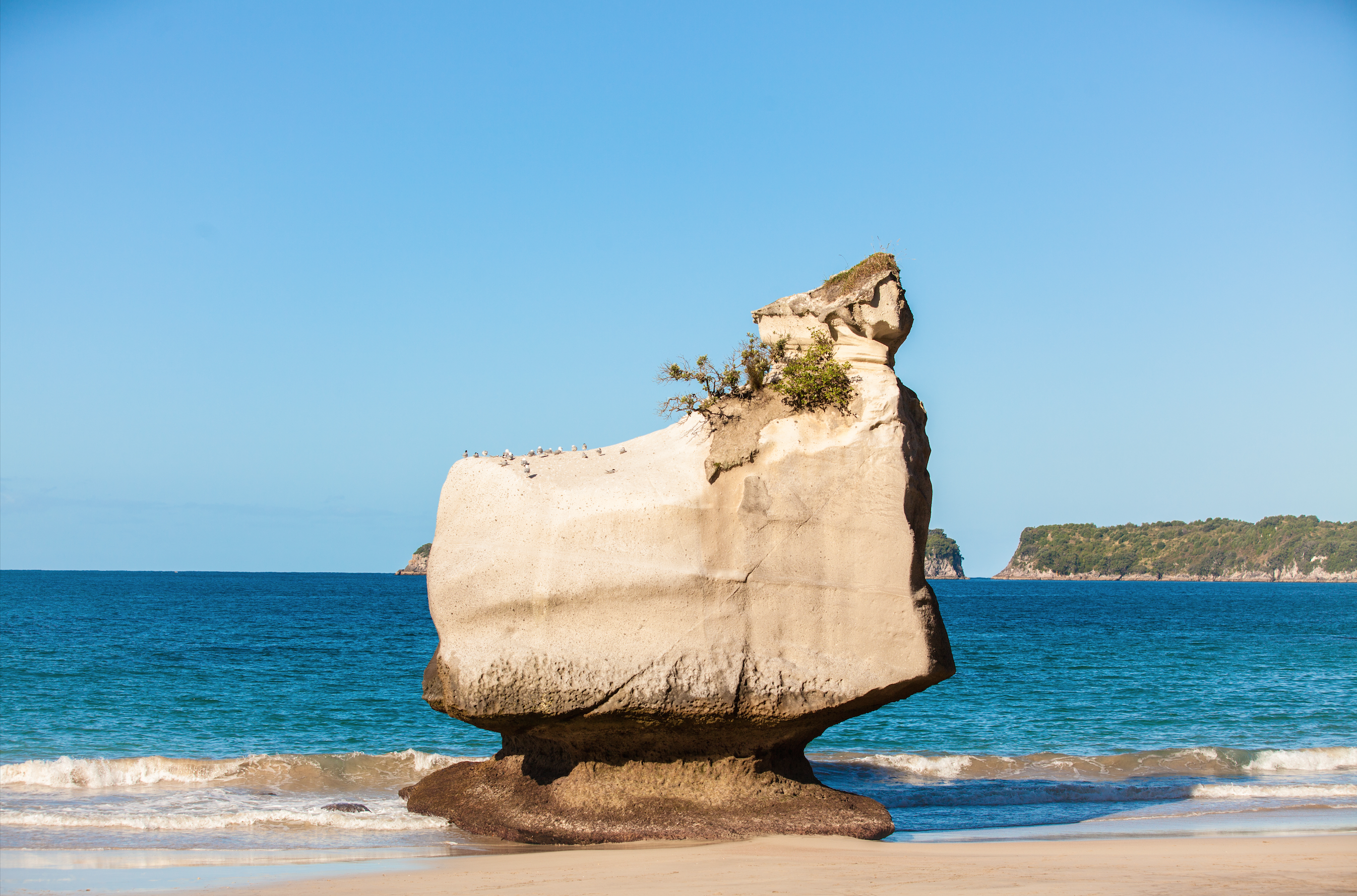 Cathedral Cove