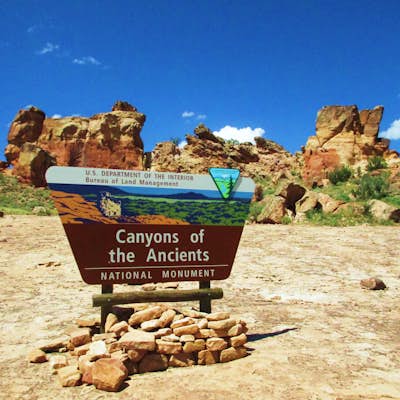Hike Sand Canyon in Canyons of the Ancients