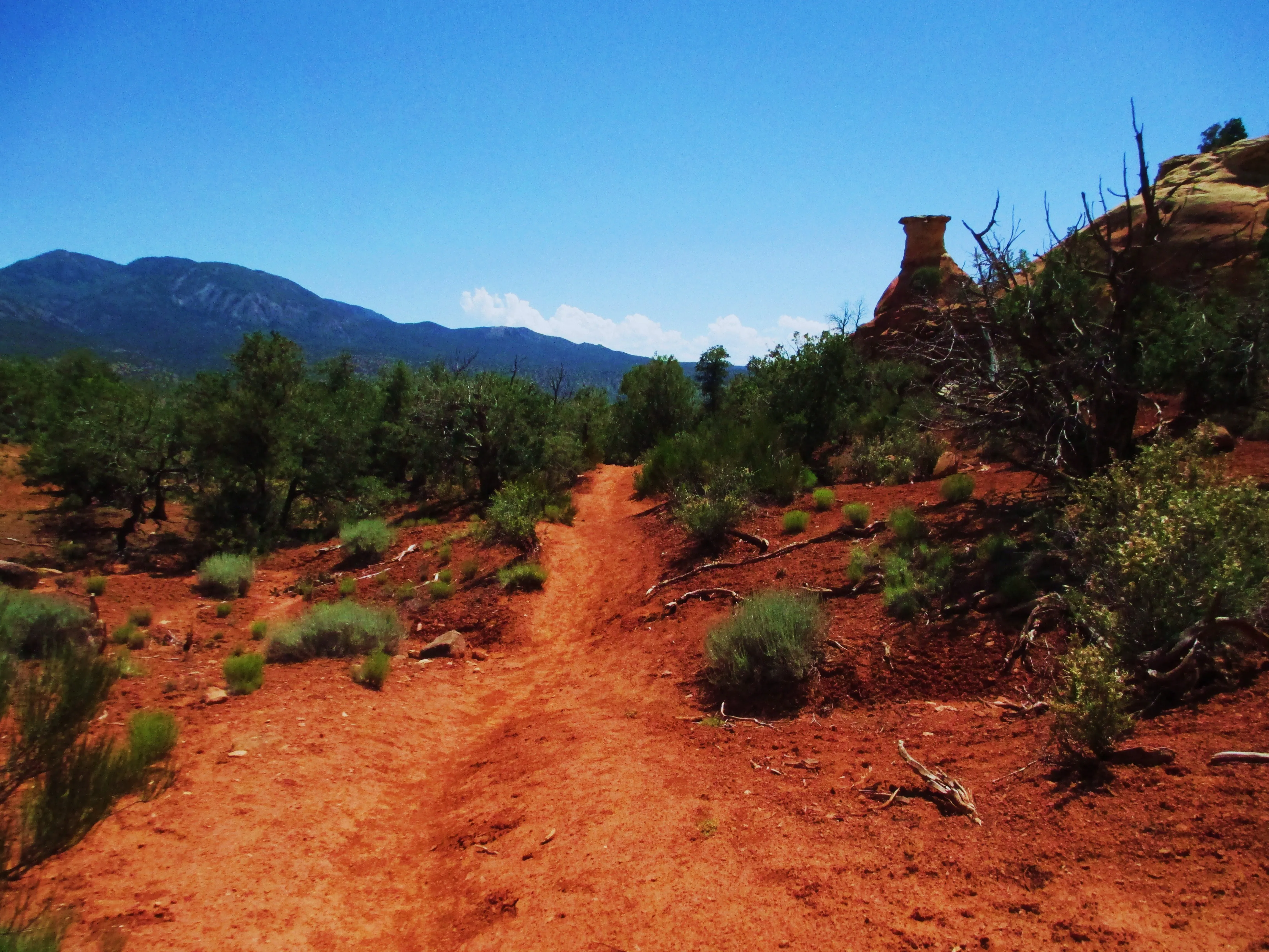Hike Sand Canyon in Canyons of the Ancients
