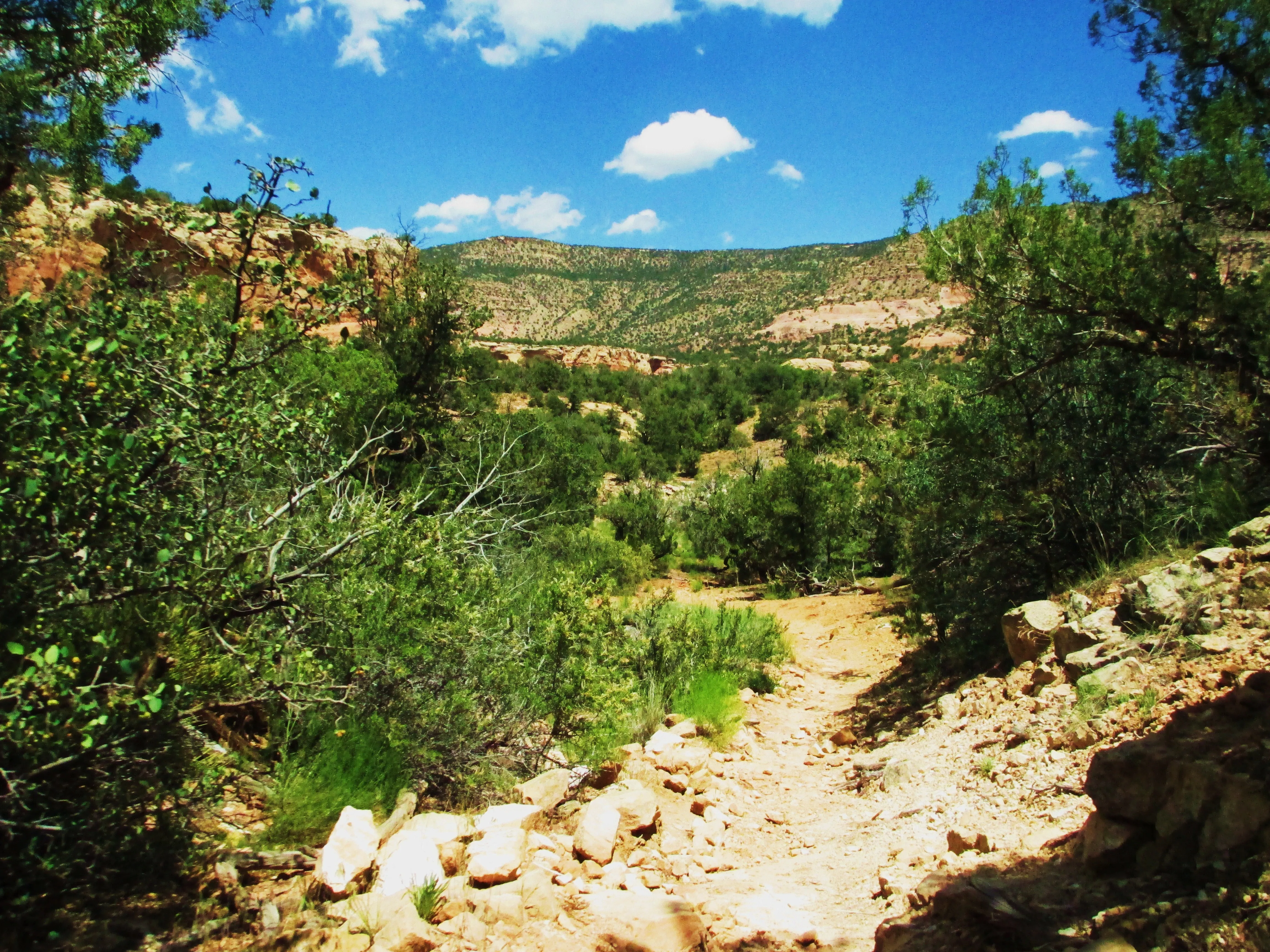 Hike Sand Canyon in Canyons of the Ancients