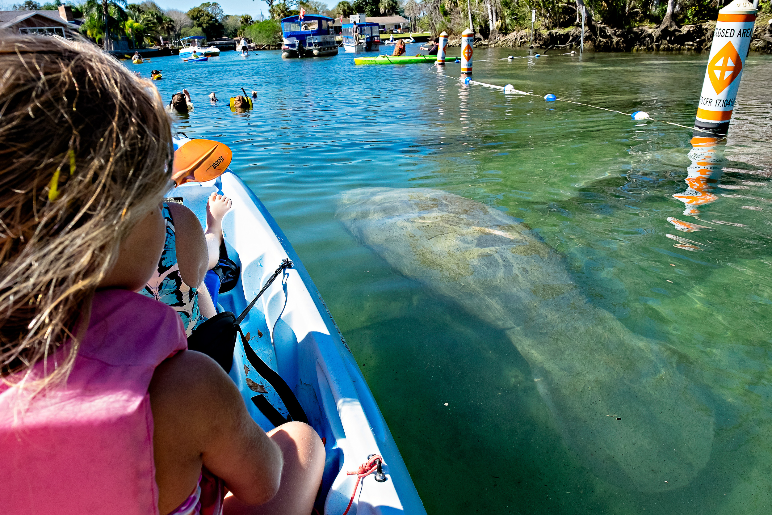 The best Camping in and near Crystal River, Florida