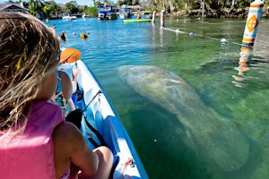 Kayak & Swim with Manatees at Three Sisters Spring